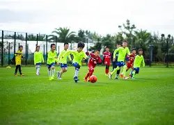 黄金基金,持续,日吸金超,皇冠体育平台,皇冠体育官方网站,皇冠体育登录入口,皇冠体育app下载