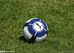 罗无缘前十,外媒发布体,坛巨星榜单,皇冠体育平台,皇冠体育官方网站,皇冠体育登录入口,皇冠体育app下载