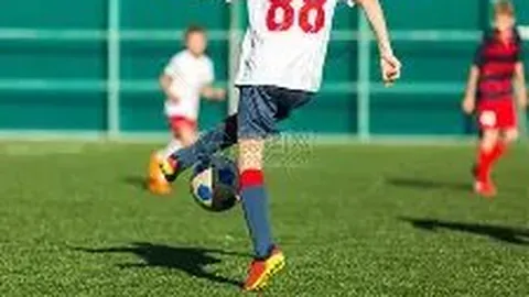 皇冠体育 产品 134017 y74